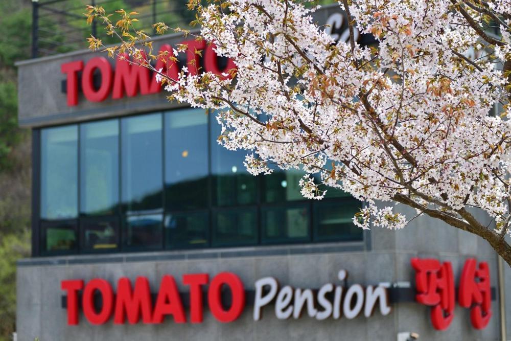 Hwacheon Tomato Pension Экстерьер фото